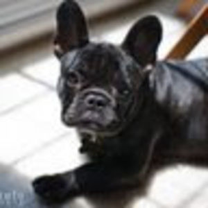 Meet your Posher, Coelle